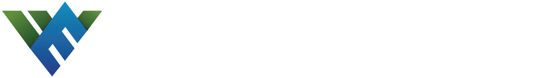 Wealth Engineering